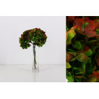 Hortensia preservada