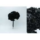 Hortensia preservada