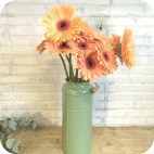 Paquete de Gerberas