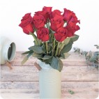 Paquete de Rosas Premium