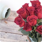 Paquete de Rosas Premium
