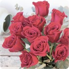 Paquete de Rosas Premium