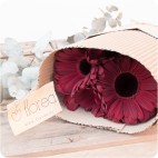 Paquete de Gerberas