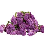Ramillete Peonias secas