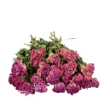 Ramillete Peonias secas