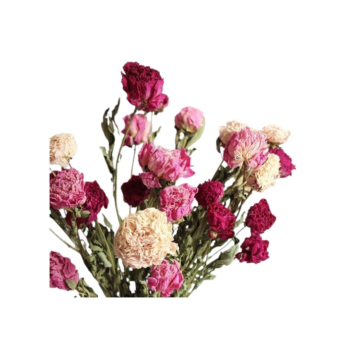 Ramillete Peonias secas