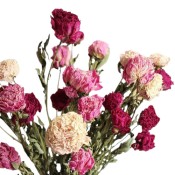 Ramillete Peonias secas