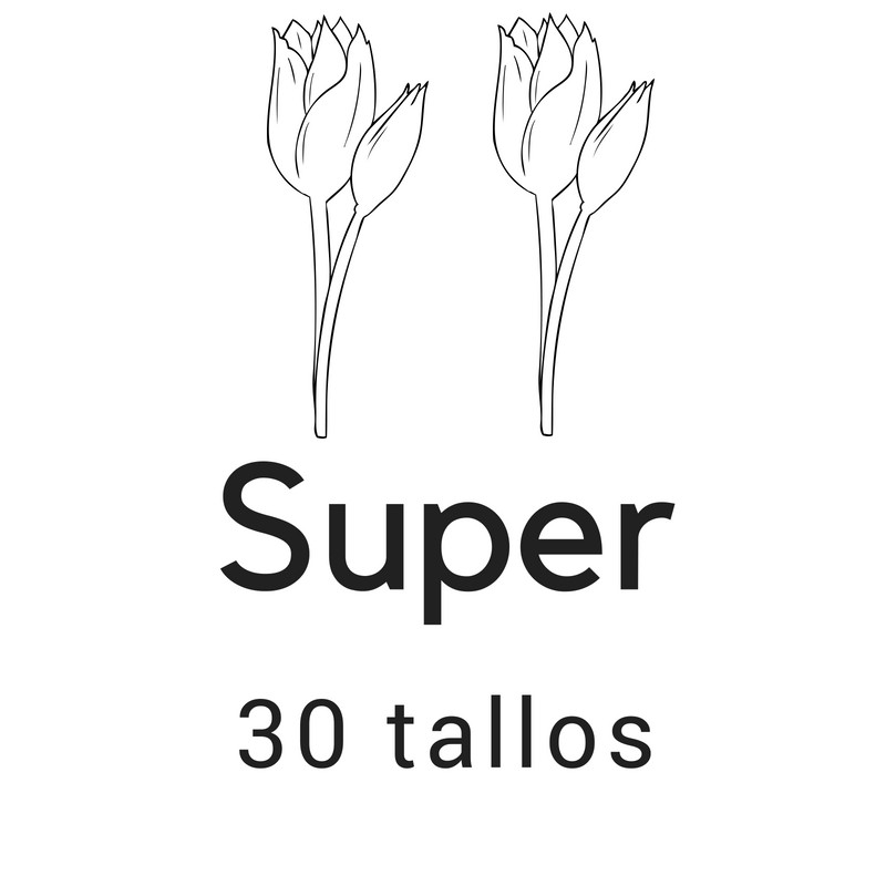 Super 30 tallos